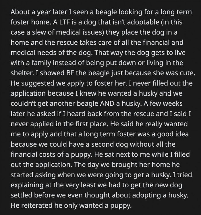 She never filled out the form to foster because she knew her BF really wanted a husky