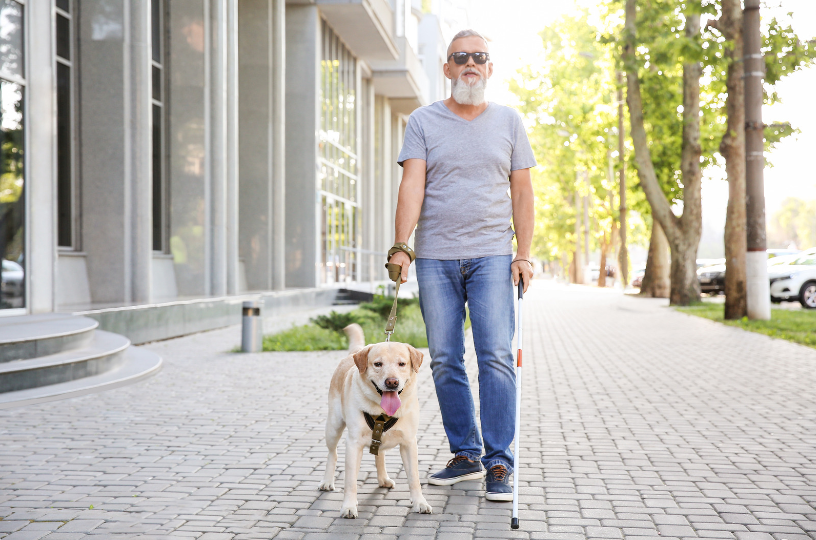 Petting guide dogs is completely inappropriate.