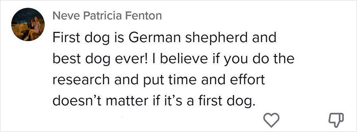 A German shepherd as this commenter's first dog