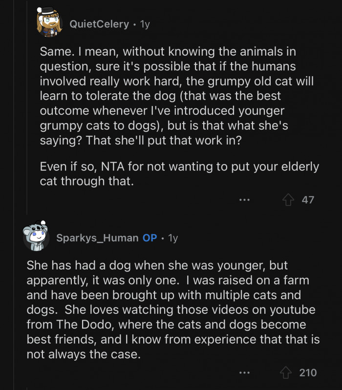 OP's GF had a dog when she was younger.