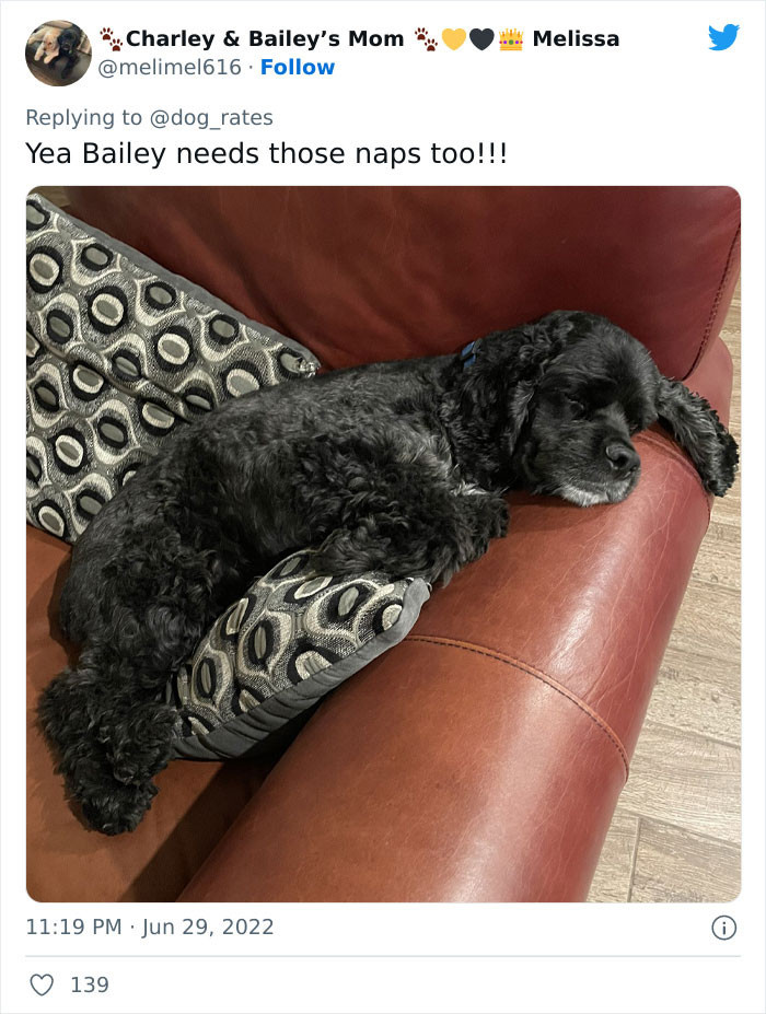 Bailey is getting enough naps