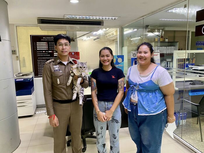 The cat was reunited with its owners