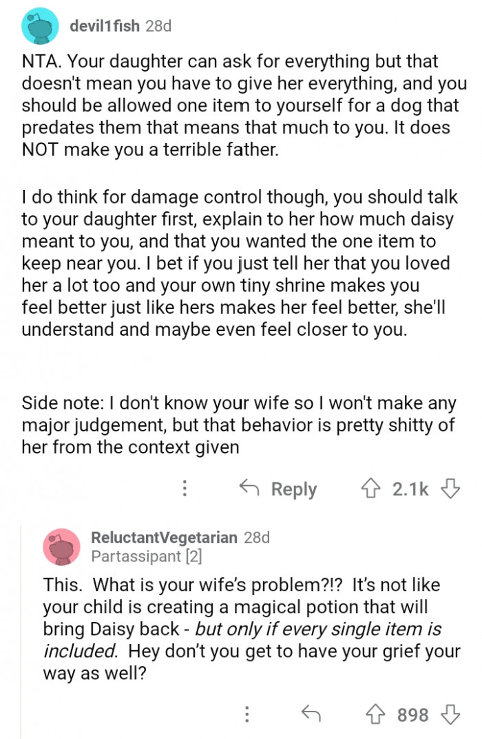 Dad Asks Redditors If He Is Wrong For Hiding His Dead Dog's Collar From ...