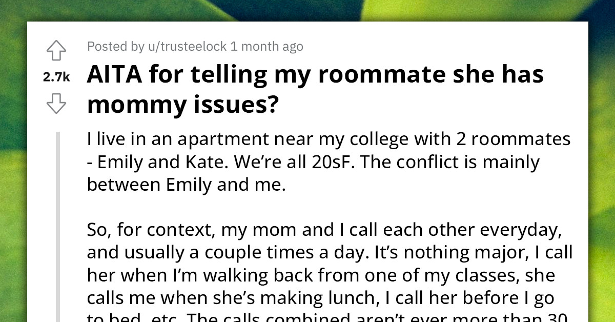 Living Situation Gets Tense After Woman Accuses Her Roommate Of Having Mommy Issues 