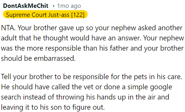 OP's brother should have handled the situation himself instead of leaving it to his son.