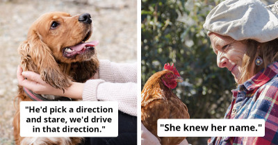 Your Pet Might Be Smarter Than You — And Here’s The Proof