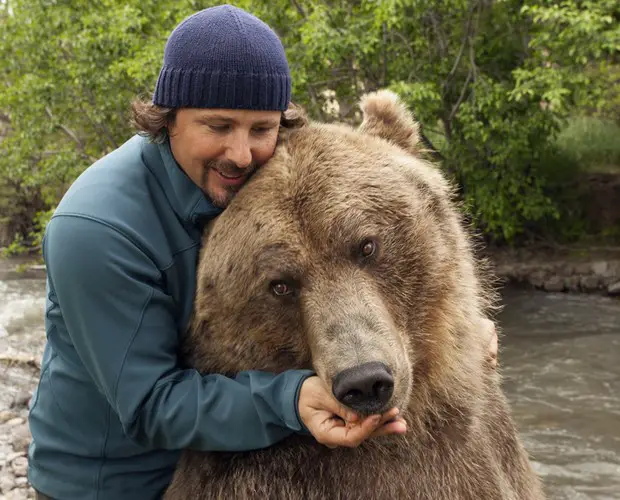 His strong bond with Brutus, an 800-pound Grizzly bear, explains his special connection with Grizzlies.