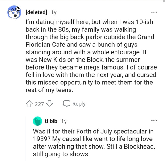 6. This Redditor says they met New Kids on the Block