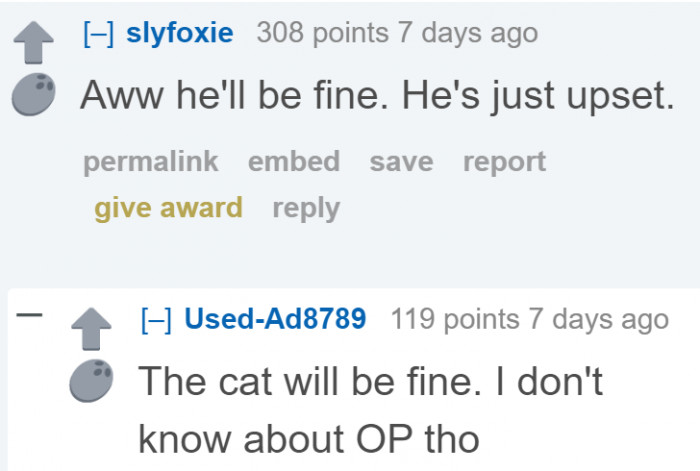 Reddit users comforted the boy, saying that the cat will eventually get over the accident.