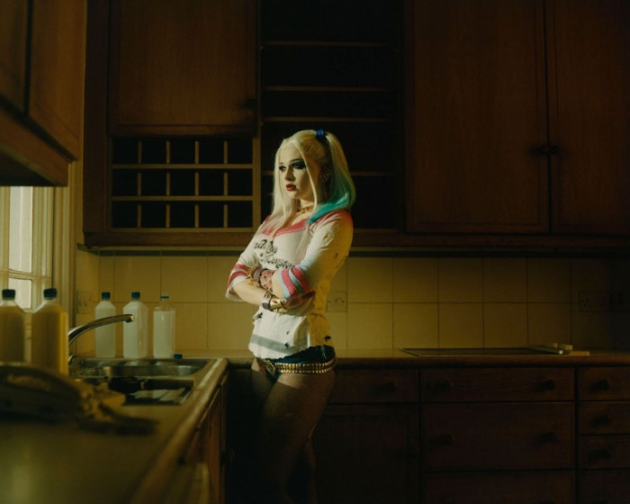 Harley Quinn from the Batman universe is seen staring out of a kitchen window