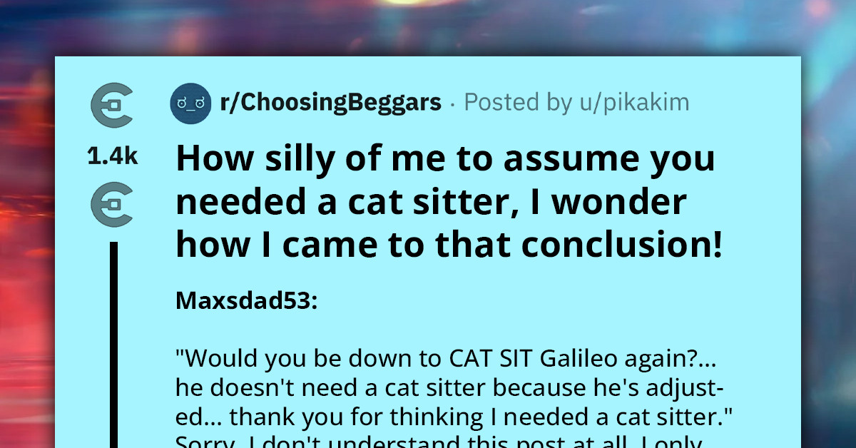when-catsitting-becomes-playdate-choosing-beggar-s-creative-tactic-to