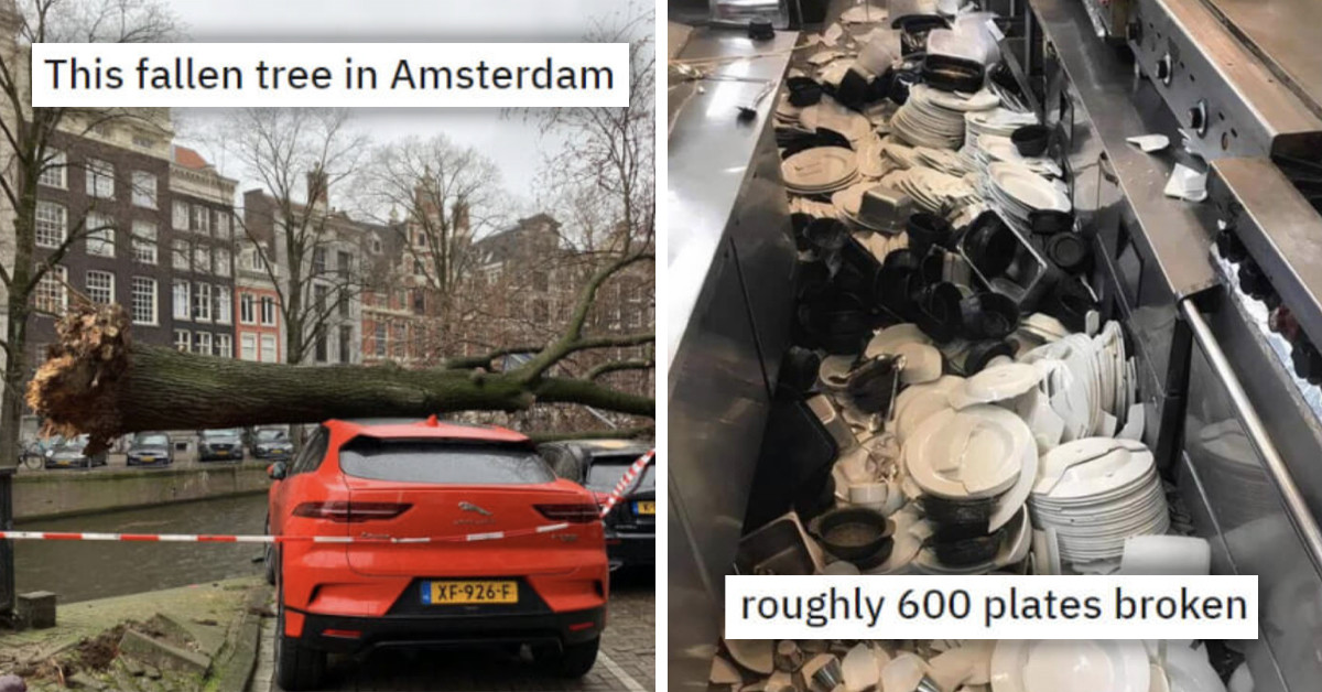 Desperate Amateurs Are You Making These Costly Mistakes Real Life Examples - o6von7h