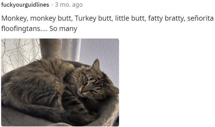 27. Turkey butt