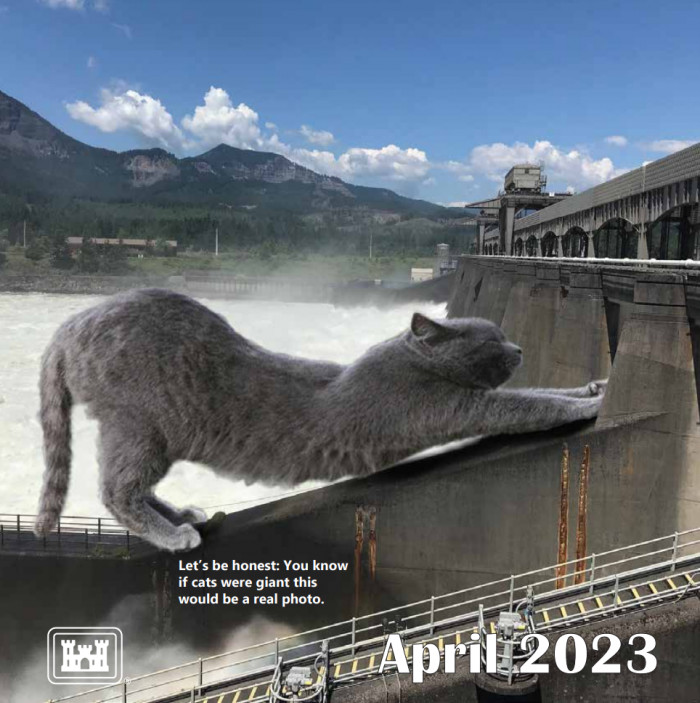 The U S Army Corps Of Engineers Used Cats To Design The Best Calendar