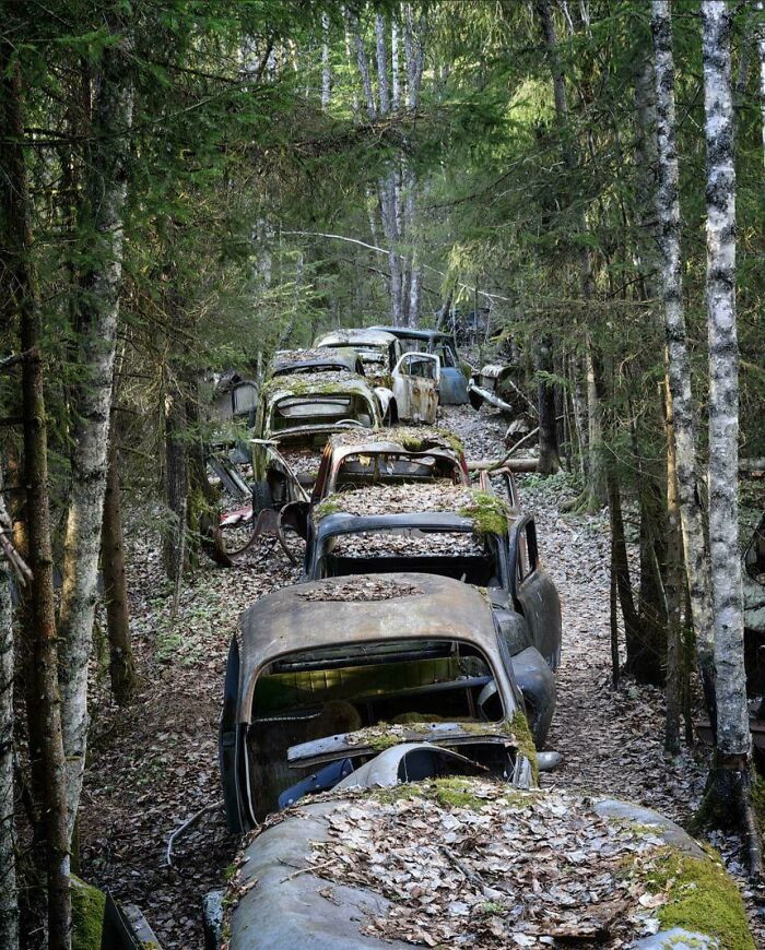 20. This Abandoned Traffic Jam In Sweden. What Gives?