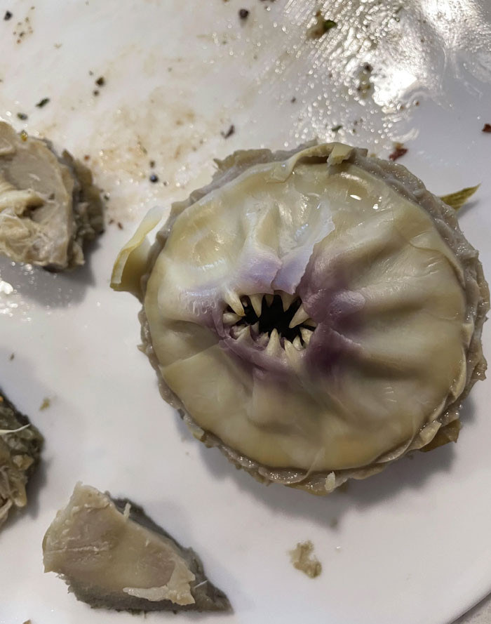 5. The person was eating an artichoke that had teeth of its own.