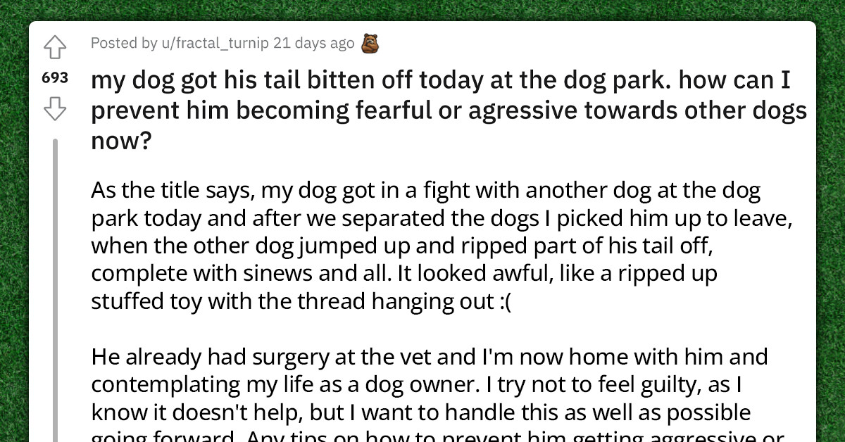 Dog Owner Turns To Reddit For Help After His Poor Pup Got His Tail ...