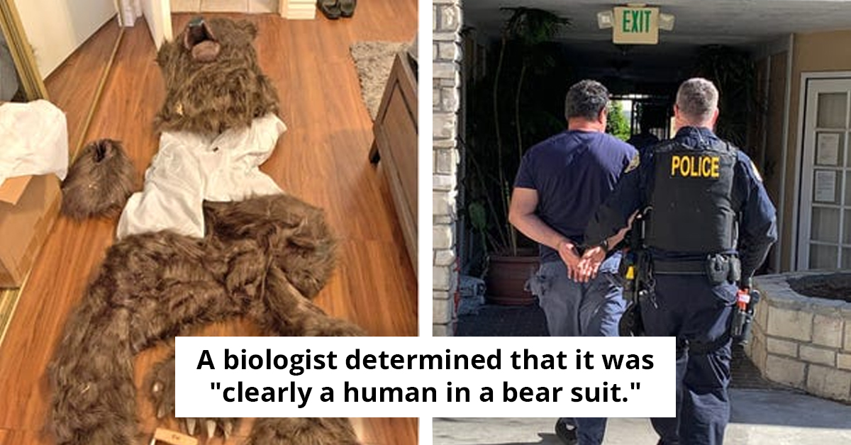 Insurance Fraud Exposed As Four Blame Bear Attack That Was Staged With A Costume