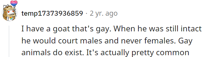 According to this user, Gay animals do exist.