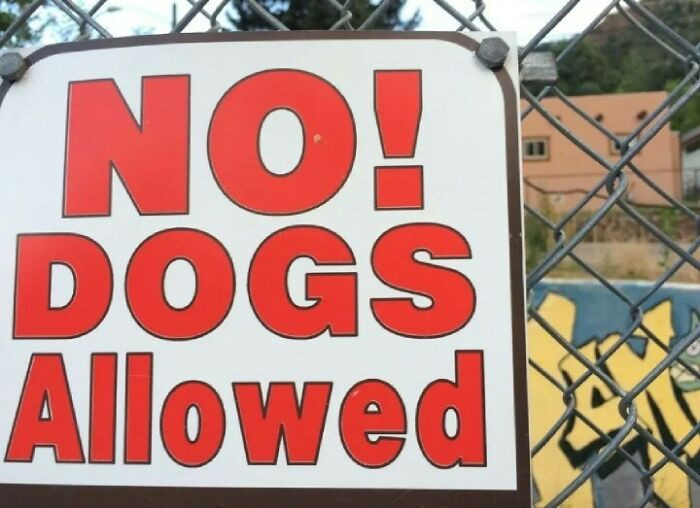 2. So, dogs allowed then?