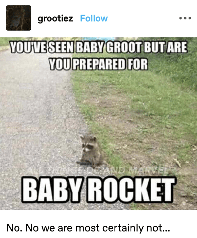 27. Baby Rocket