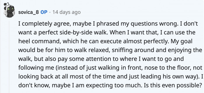OP agrees and would just like to work on their walk so his dog would be less distracted