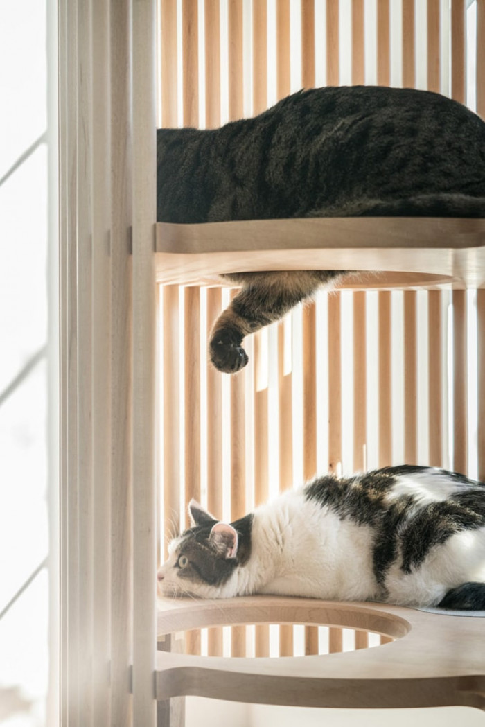 The furniture gives playful kitties room to climb and explore, while providing older cats a place to snooze