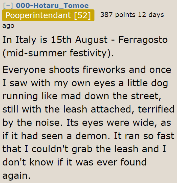 One Redditor shared the effect of fireworks on a dog.