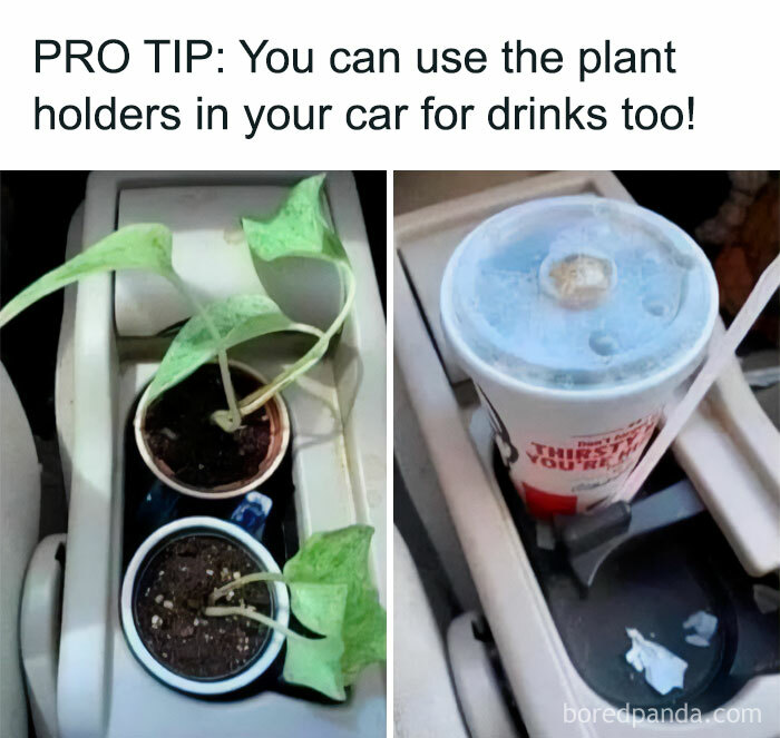 3. They're now plant holders