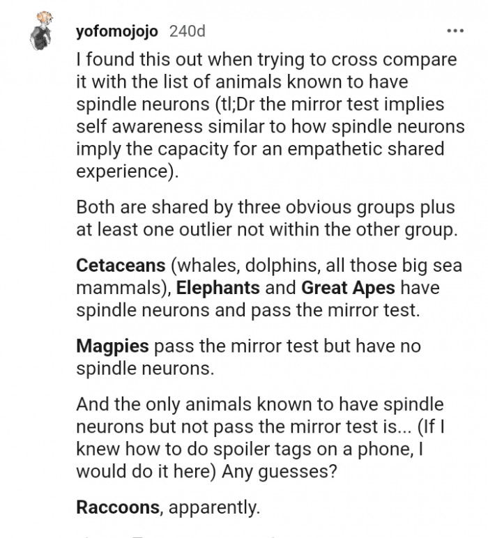 This Redditor is sharing what they found