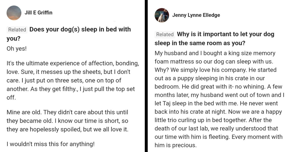 20 People Provide Eye-Opening Answers To Why Dogs Love Sleeping On Their Hoomans