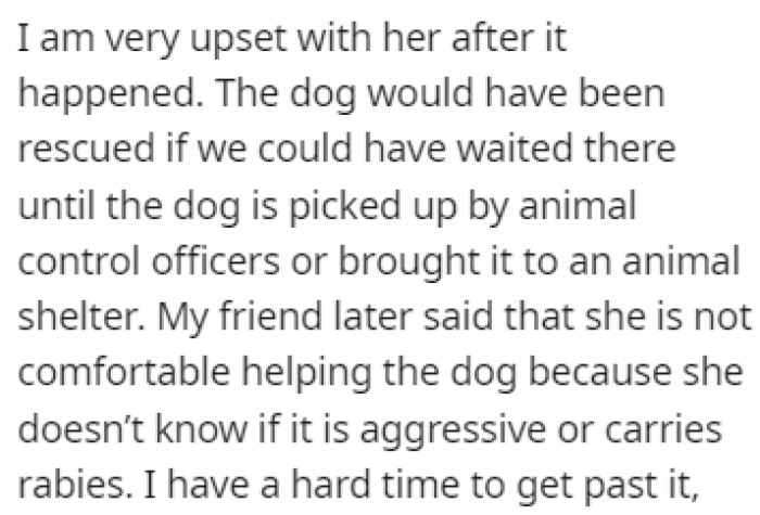 Her friend said that there's wasn't much they could, seeing as how the dog could be dangerous or carrying diseases