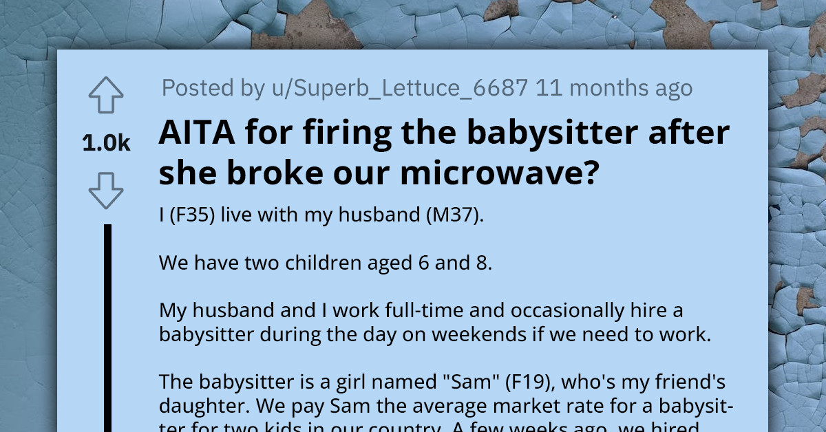 Redditor Asks If She Is In The Wrong For Firing A Babysitter After She Broke Their Microwave And Didn't Want To Replace It