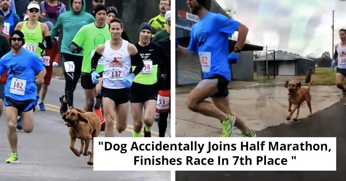 Dog Completes Half-Marathon After Escaping For A Bathroom Break, Places 7th