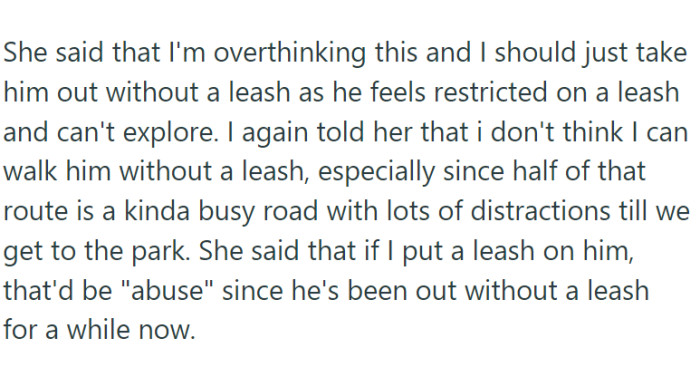 She feared losing control, with the dog potentially getting scared or overexcited, running off, and getting lost in the bustling neighborhood.