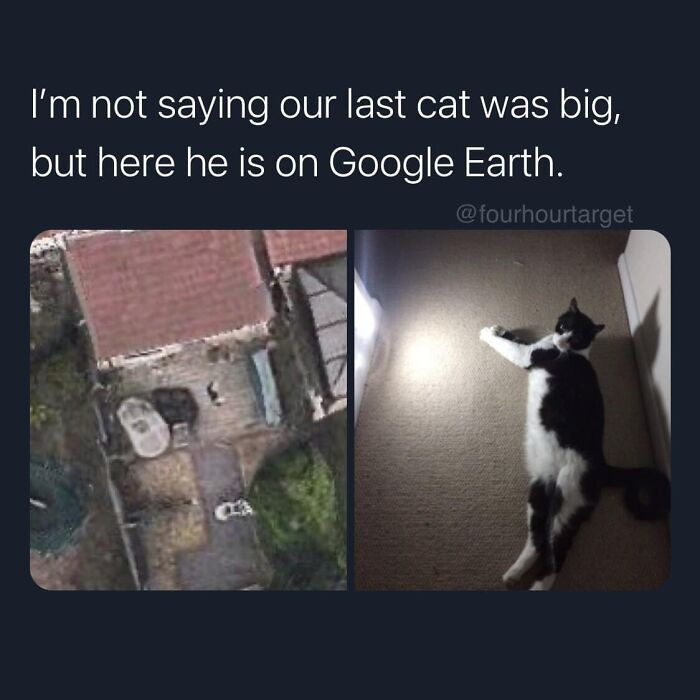 5. My cat on Google earth