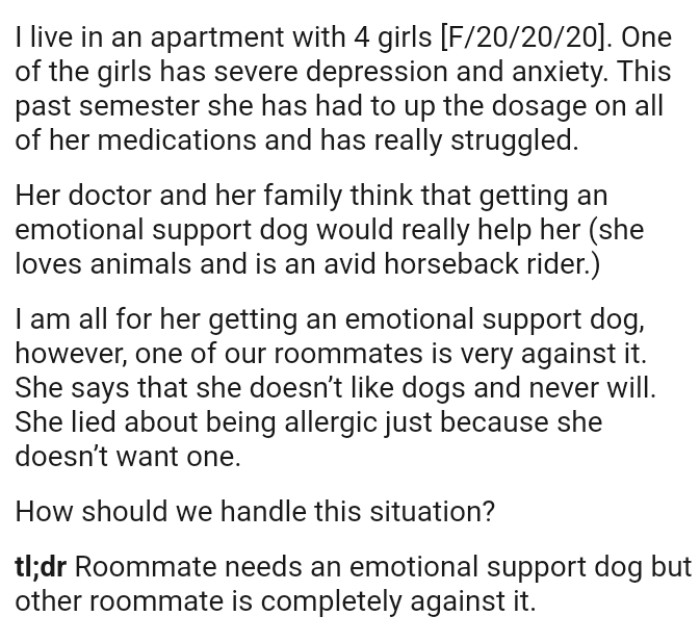 One of the OP's roommates lied about being allergic just because she doesn’t want a dog around
