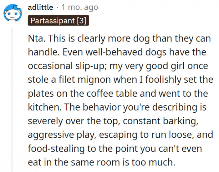 Redditor Tells MIL That Her Poorly Trained Dog Is Not Allowed To Visit ...