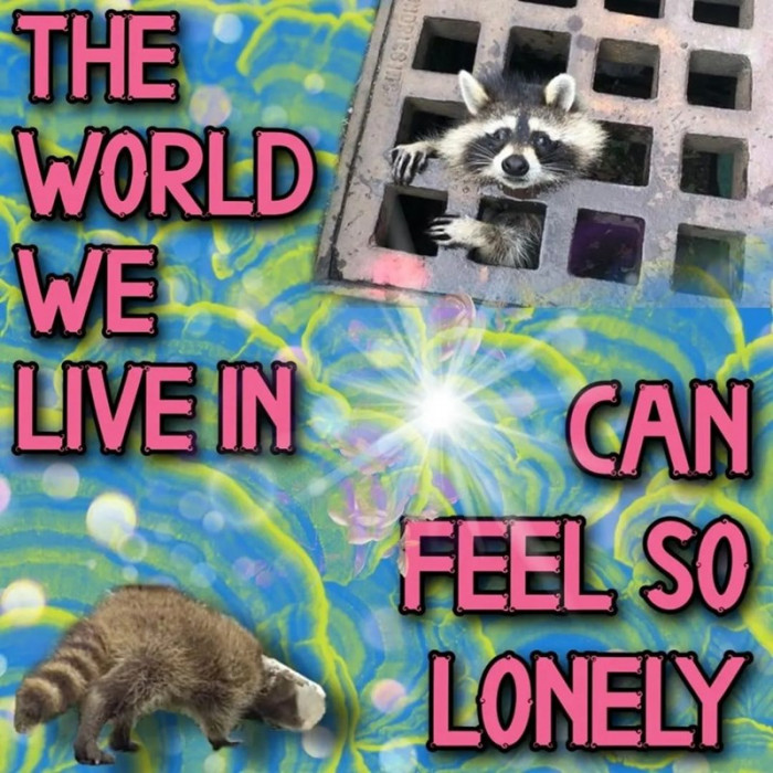 14. I feel you Mr. Raccoon.