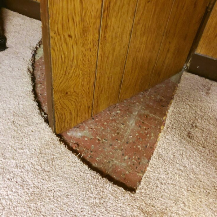 28. Why cut the door when you can cut the carpet instead! (Found in new house basement)