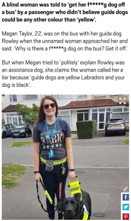 This woman is adamant that Guide Dogs can never be black.