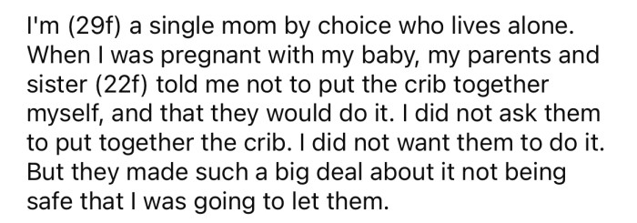Pregnant Redditor's Sister Throws Tantrum After Not Being Included In ...