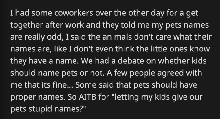 The adults were divided if kids should be allowed to name pets and one of them pointed out that pets should have proper names. OP doesn't think there is anything wrong with what her kids chose for their family pets.