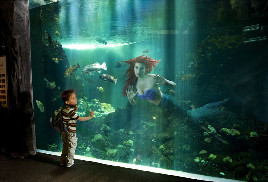 5. Ariel is stuck in and Aquarium