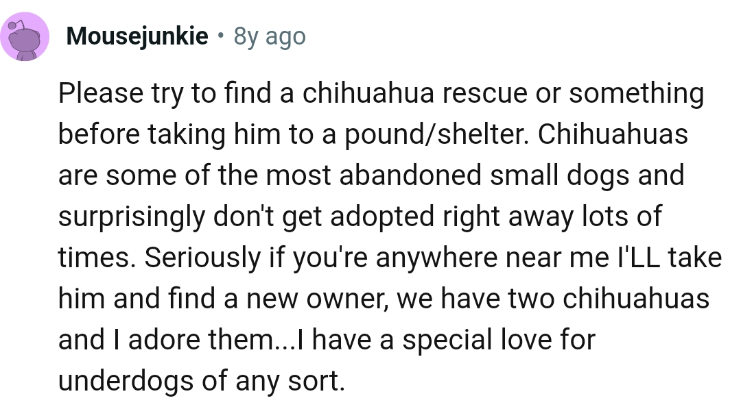 The OP should find a chihuahua rescue