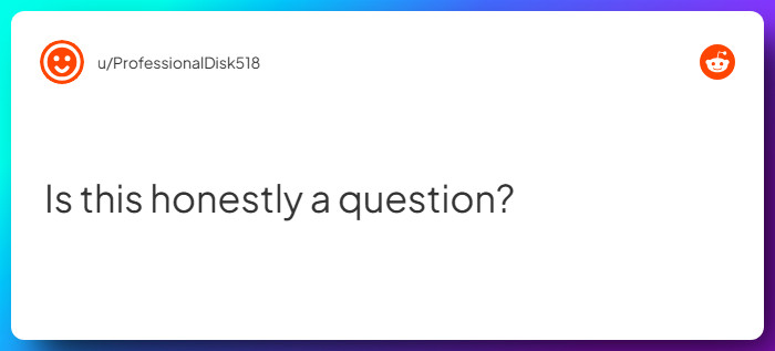 Comment from u/ProfessionalDisk518