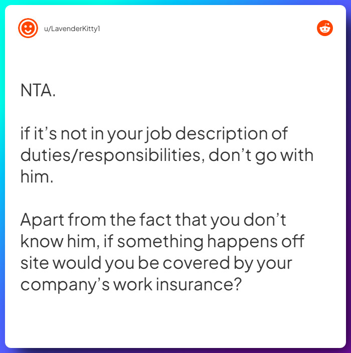Comment from u/LavenderKitty1