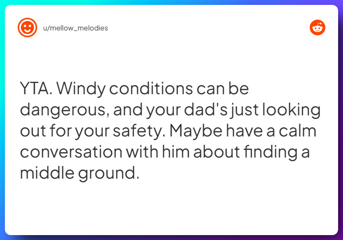 Comment from u/mellow_melodies