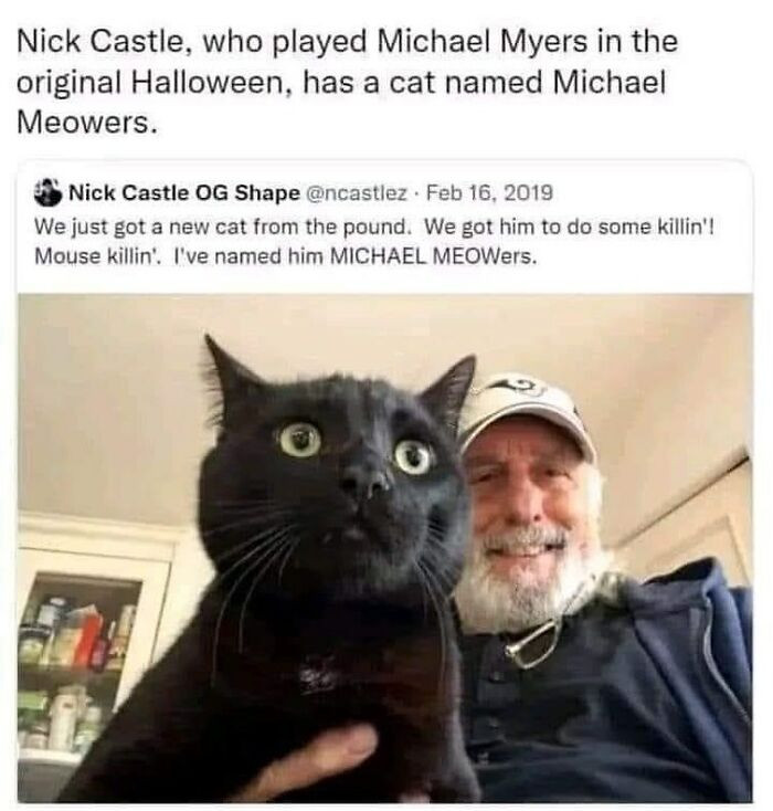 18. Michael Meowers