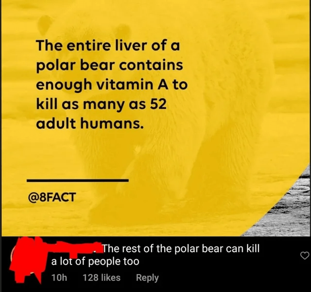 The bear would definitely kill way more humans.